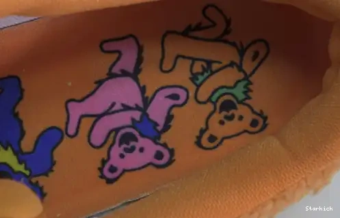 Grateful Low Orange Bear SB Dunk CJ5378-800 Nike Dead 0528